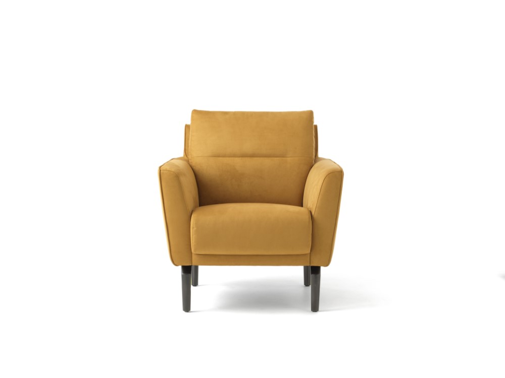 Productafbeelding van Évidence fauteuil Sarena